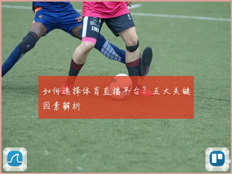 如何选择体育直播平台？五大关键因素解析