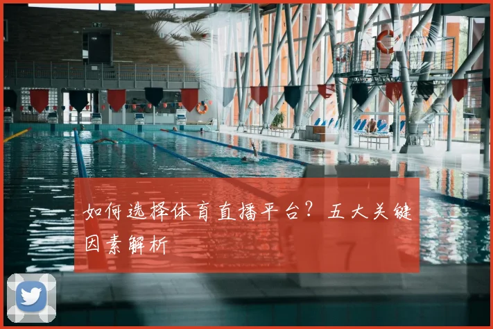 如何选择体育直播平台?五大关键因素解析