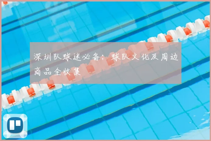 深圳队球迷必备:球队文化及周边商品全收集