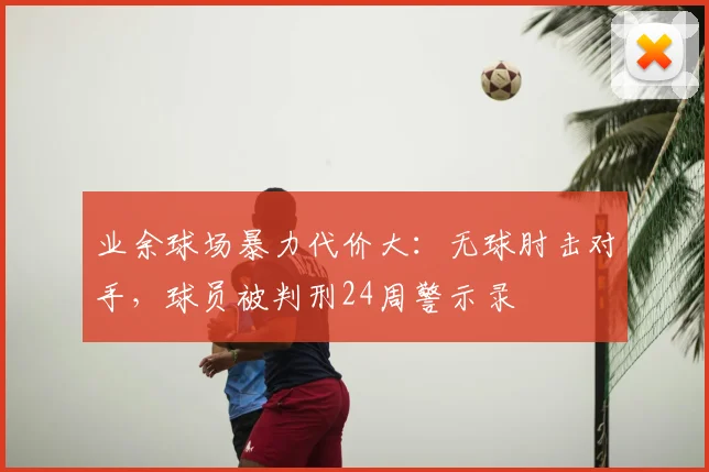 业余球场暴力代价大:无球肘击对手,球员被判刑24周警示录